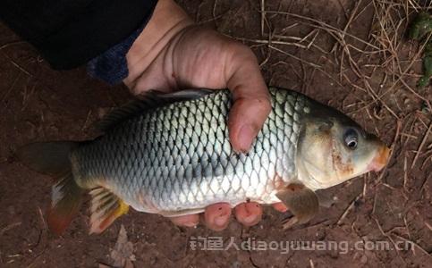 开钓场的利润点在哪里？钓鱼场怎么经营更吸引顾客？