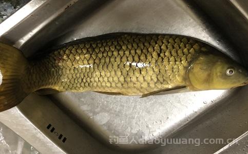 夜光漂红一下就不动了怎么回事？