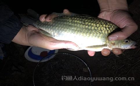 微信图片_20240909223244.jpg