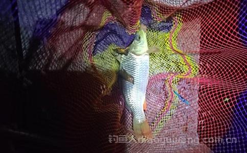 微信图片_20240909215030.jpg