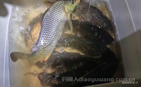 微信图片_20240909214817.jpg
