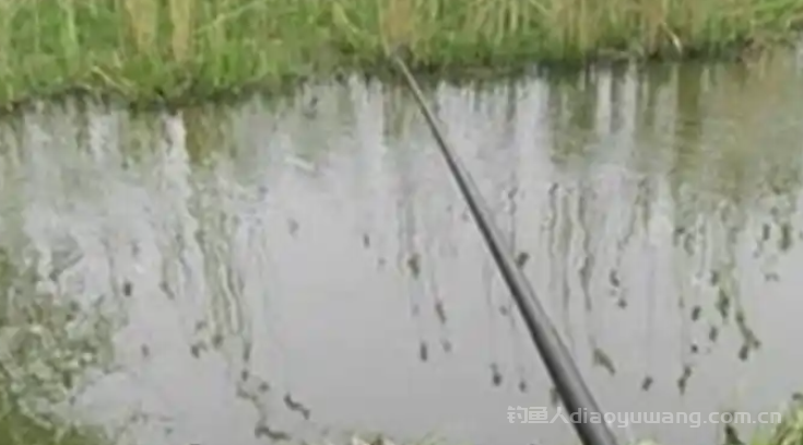 春季钓鱼有诀窍，这几种天气鱼最活跃，抓准稳爆护