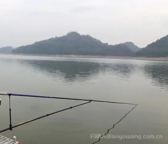 水库钓神私藏！揭秘 7 大藏鱼圣地