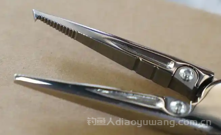 路亚钳选购全攻略:弯嘴直嘴大PK，能否替代控鱼器？
