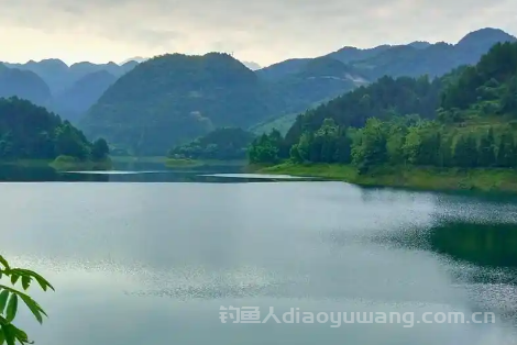 探秘白龙湖：位置与深度全解析