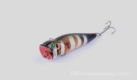 波爬是什么？浮水还是沉水？一文全知晓