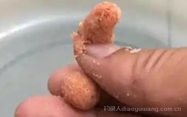 搓饵要加拉丝粉吗?搓饵多久换一次饵料?