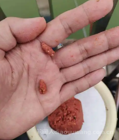 搓饵钓鲫鱼搓多大的鱼?搓饵钓鲫鱼用几号钩? 搓饵钓鲫鱼搓多大的鱼?搓饵钓鲫鱼用几号钩?