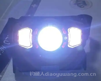 夜钓灯有聚鱼效果吗?夜钓灯光对鱼的影响和作用有哪些?