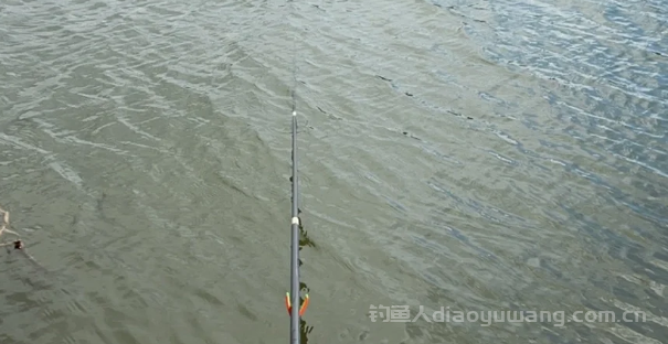 钓鱼达人教你野钓如何继续鱼获满满！
