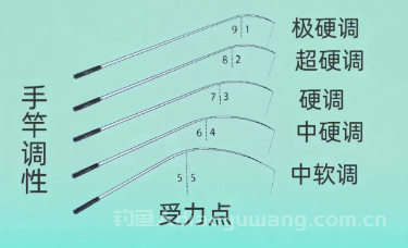 鱼竿调性多少合适？鱼竿调性对照表！