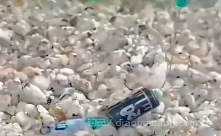 跑铅的精髓在于“跑”，都跑不起来叫啥跑铅呢？ 