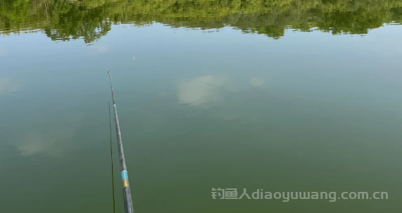 鱼竿调性与硬度的区别是什么？鱼竿上 “H” 和调性全揭秘 