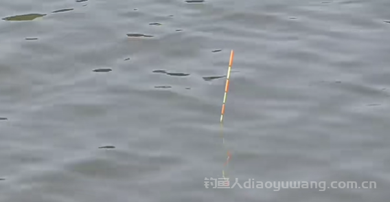 浮漂吃铅怎么选?谁说浮漂吃铅越小越好? 浮漂吃铅怎么选?谁说浮漂吃铅越小越好?