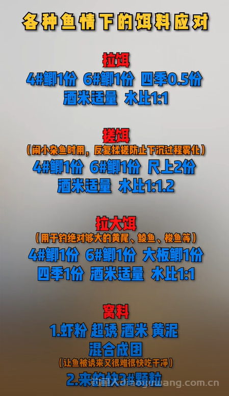 钓黄尾用什么饵料最好？钓黄尾鲴最佳饵料配方！2