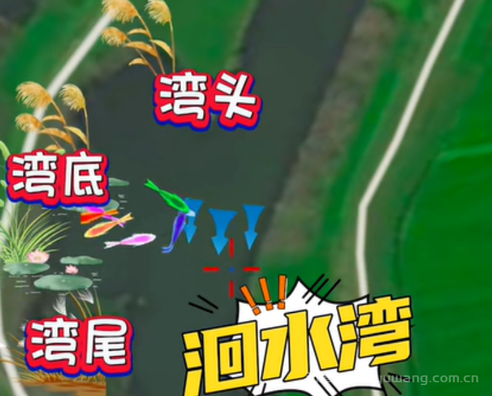 夏至将至，我们如何钓好野钓？钓位选择是重中之重！