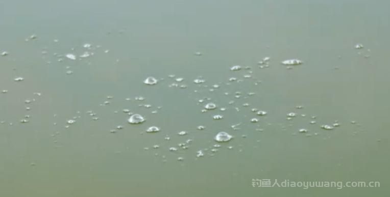 黑坑淤泥太厚？两招让鱼疯狂咬钩！