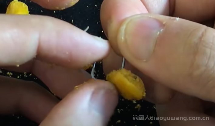 饵料和玉米钓鲤鱼，调漂竟差这么多！95%钓友都用错方法，看完秒会！
