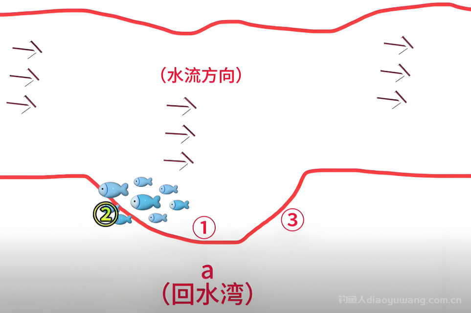 黄金钓位回水湾，钓到鱼王不是梦！ 