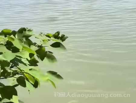 夏季雨天钓鱼攻略：选对天气，鱼获爆护！yu