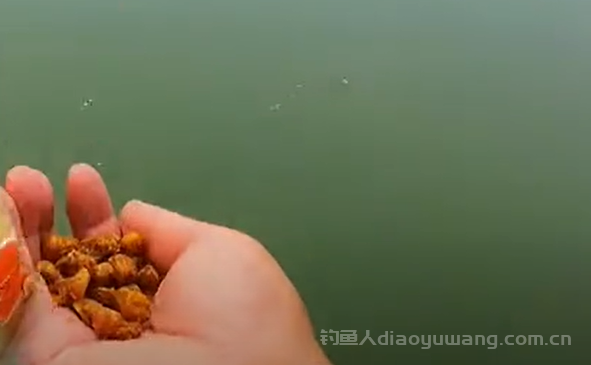 夜钓必看！高温季节四钓四不钓，渔获翻倍秘籍 