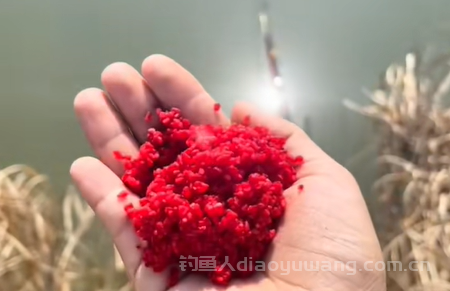 夏季野钓怎么打窝？窝料肯定是粗细结合！  