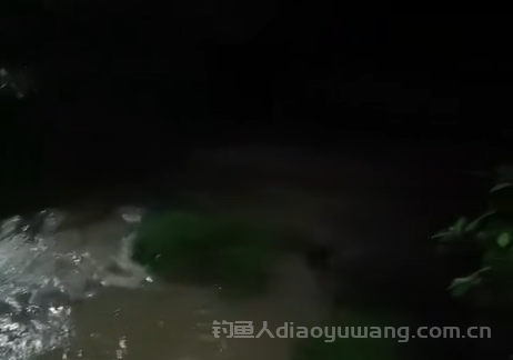 夜钓高手揭秘：风向决定鱼获，你选对了吗？