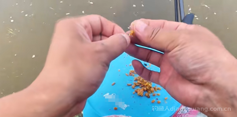 夏季大板鲫钓法大揭秘!避开小杂鱼,轻松上钩! 夏季大板鲫钓法大揭秘!避开小杂鱼,轻松上钩!
