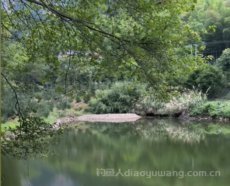 夏天钓鱼怎么钓？最佳时间是什么时候？夏天钓鱼的周期表  