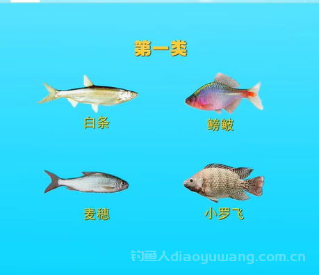 钓鱼人深恶痛绝的5大类十多种鱼，你钓过几种？ 2 