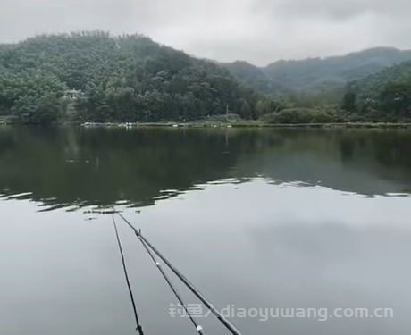 新手钓鱼该如何选择钓竿?2 新手钓鱼该如何选择钓竿?2