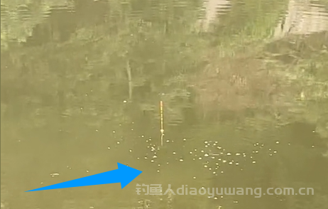 窝子里鱼星直冒，浮漂却纹丝不动，一定要及时调整  