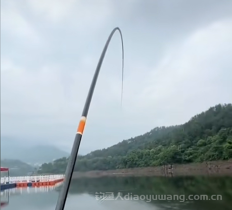 夜钓中了大鱼怎么办？中大鱼后怎样溜鱼？2 