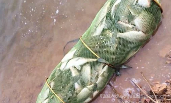 风向决定鱼获？天吹西南风，气死老钓翁!揭秘风向与钓鱼的科学原理！