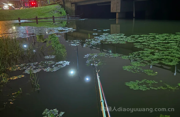 初秋夜钓怎么选钓位？