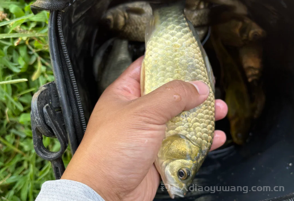 钓位怎么钓好鱼？