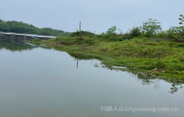 野钓精准找底方法，一目找底法 