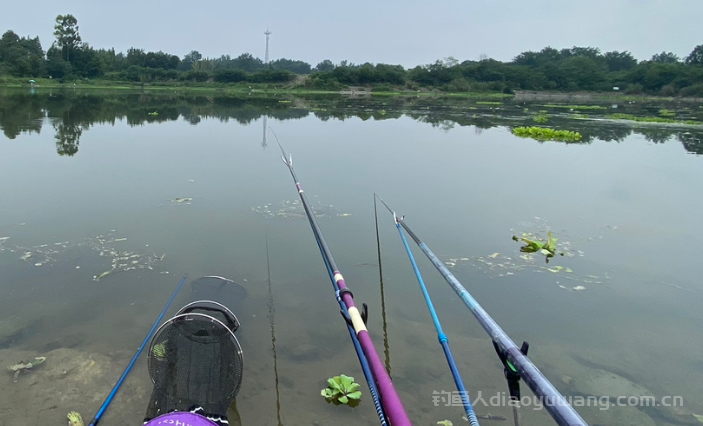 买鱼竿需要看元径和先径！