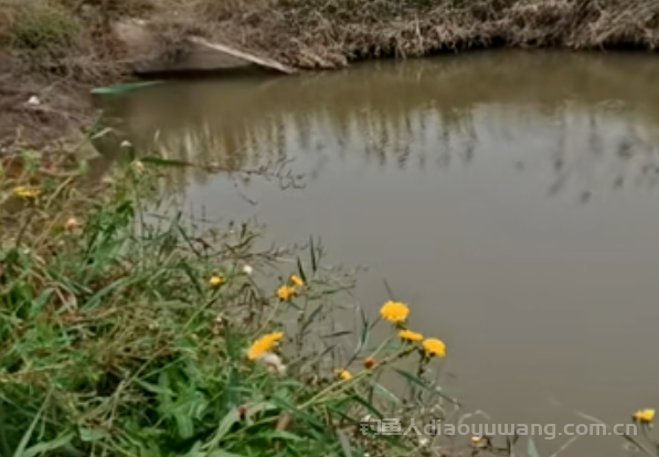 野钓遇到水底有酱层怎么处理?试试这个既简单又直接的方法! 野钓遇到水底有酱层怎么处理?试试这个既简单又直接的方法!