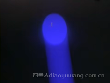 晚上灯光对鱼有影响吗？夜钓用什么颜色的光源更合适？