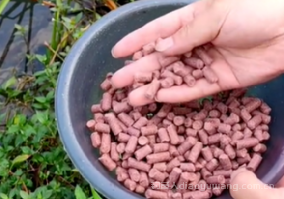 野钓到底是打窝还是抽窝? 野钓到底是打窝还是抽窝?