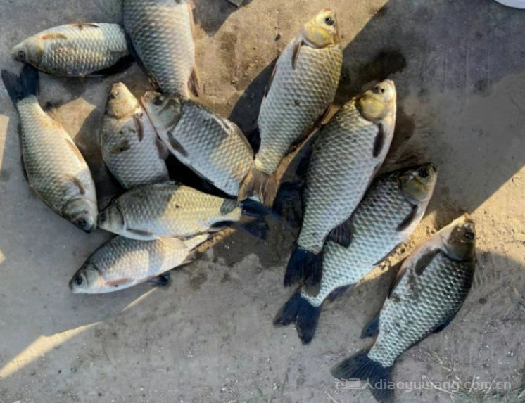 初冬时节野钓三种天气和出钓时间选择  