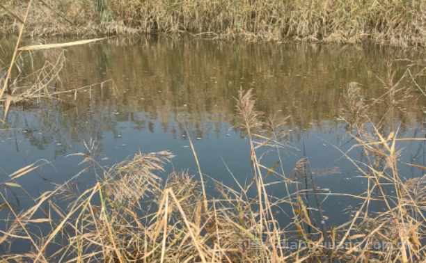 传统钓打很多窝记不住怎么办？试试这个方法！  