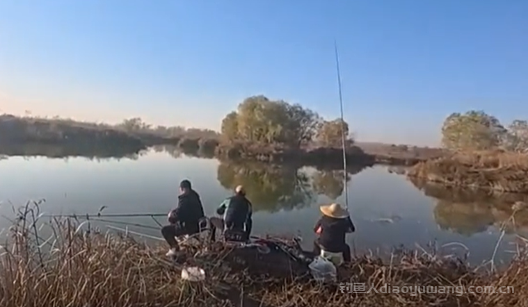 初冬前钓鱼就抓这两个窗口期，比一整天钓的都多！  