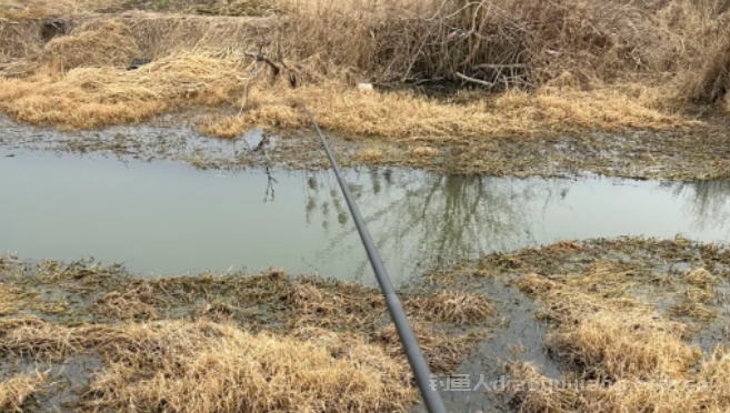 冬季传统钓学会这5点你想空军都难 