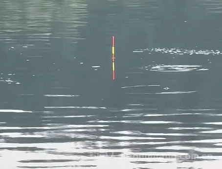 冬季野钓,漂相看不懂等于白钓 冬季野钓,漂相看不懂等于白钓