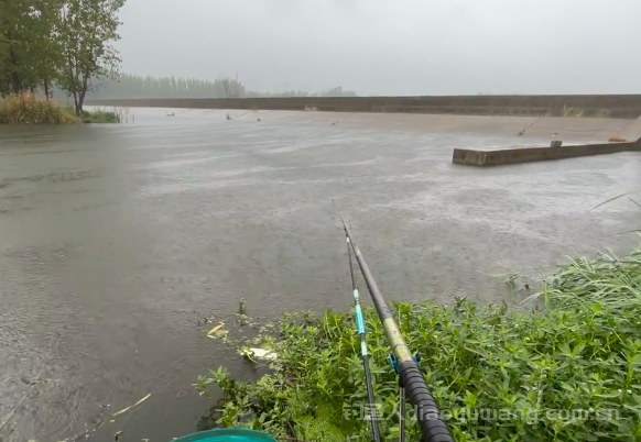 天寒地冻什么时间钓鱼好钓?究竟几点出发能够钓好鱼 天寒地冻什么时间钓鱼好钓?究竟几点出发能够钓好鱼