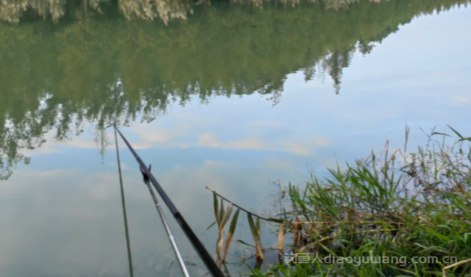 野钓当中竿子调性如何选择？  