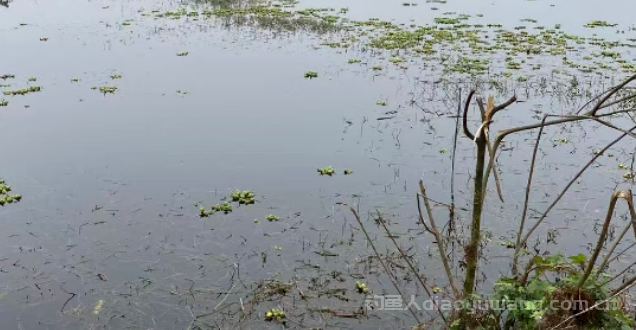 冬季野钓3个黄金钓位 这些钓位想不爆护都难 