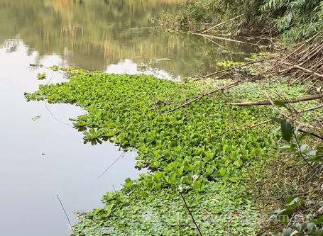 想知道冬季怎么正确选择钓位吗?  